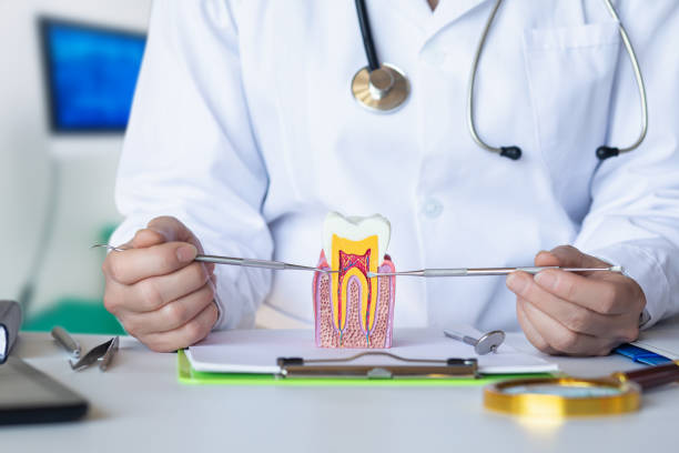 Best Emergency TMJ Treatment in Regency At Monroe, NJ